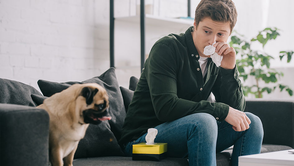 Installing an air purifier is one of the top methods to improve your residence’s indoor air quality. Find out more about the three smartest options. 